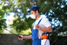 Worker in blue overalls and mask spraying plants with a backpack sprayer outdoors