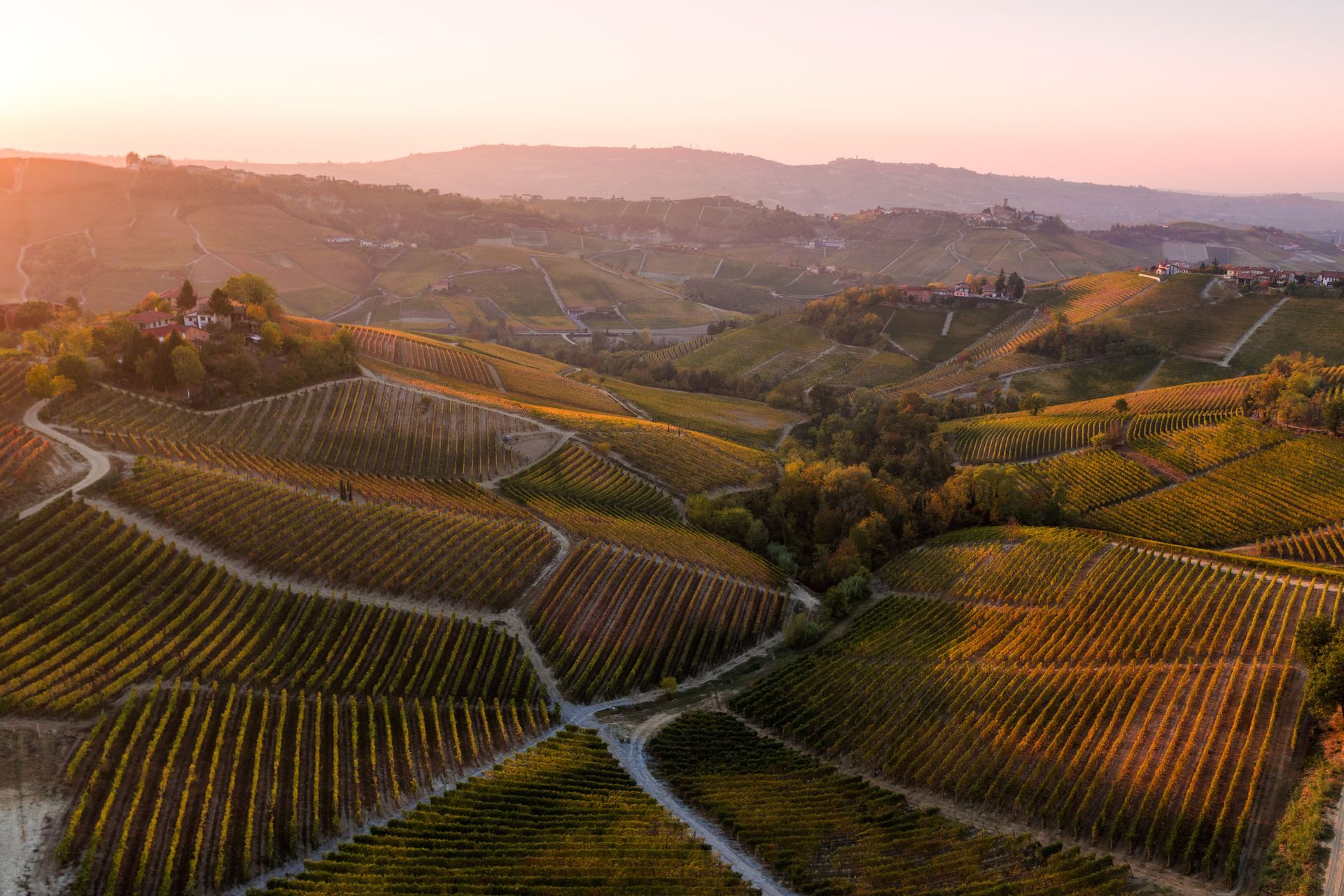 langhe