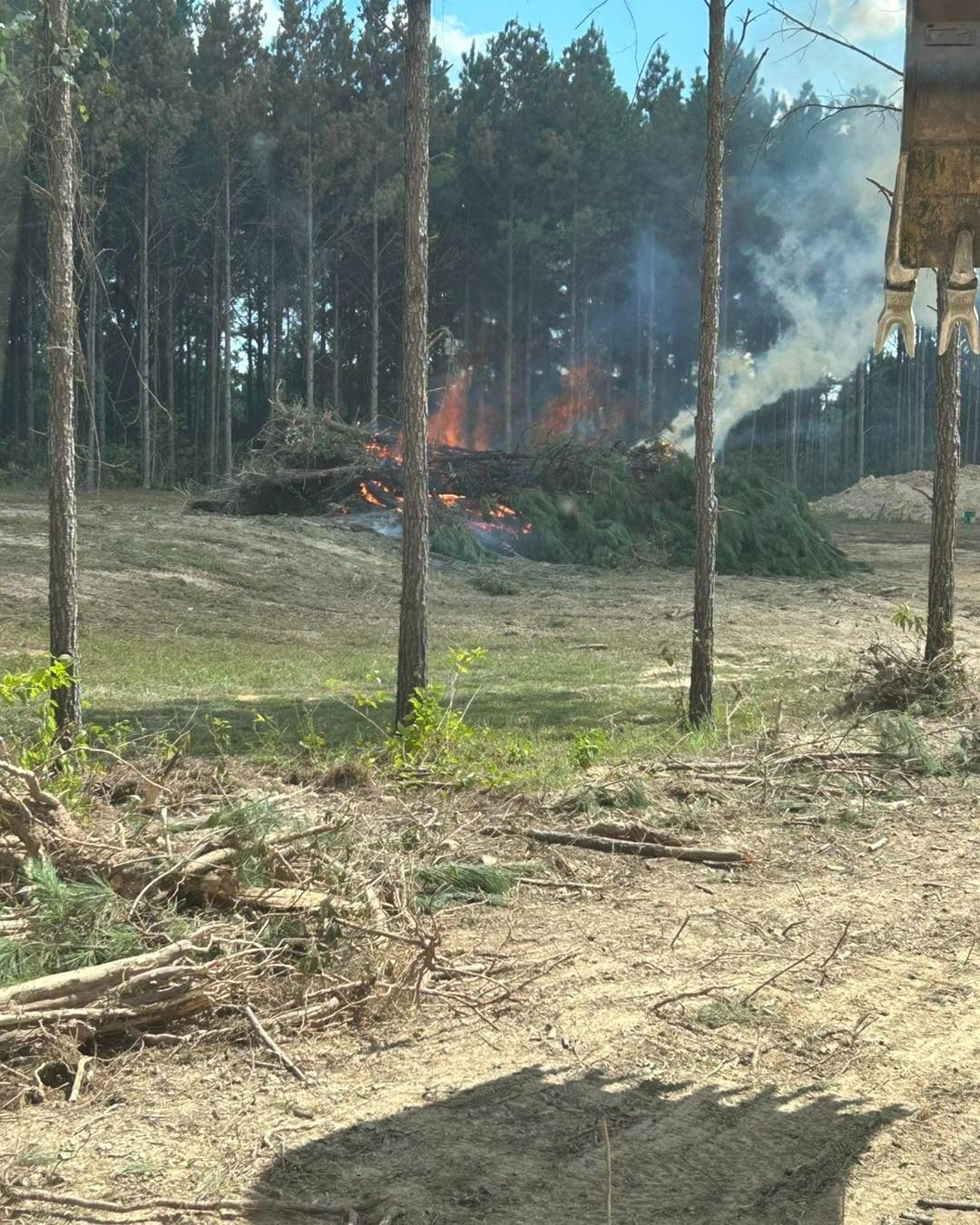 A pile of burning brush in a cleared area of a forest, smoke rising.