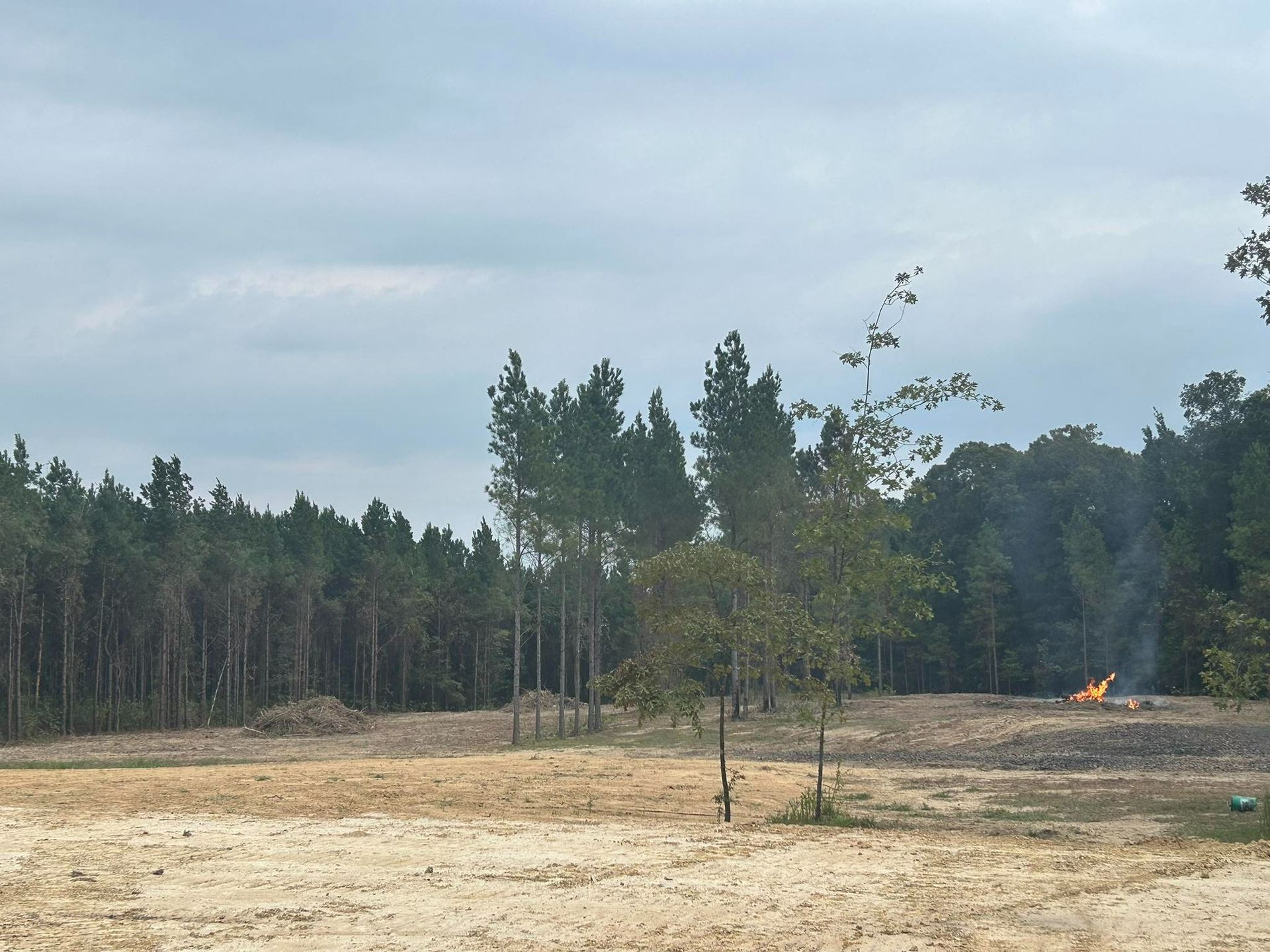 A clearing with a small fire, surrounded by trees and a cloudy sky.