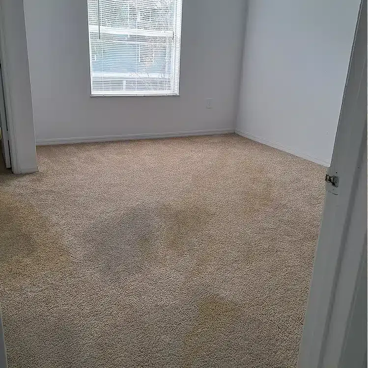 Empty beige-carpeted bedroom with a window and gray walls