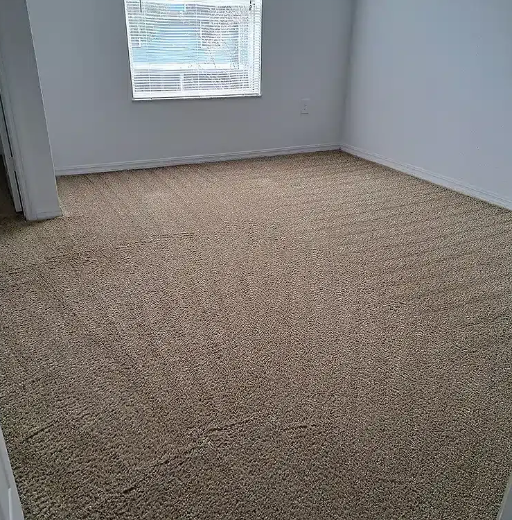 Empty beige-carpeted room with light gray walls and a small window.