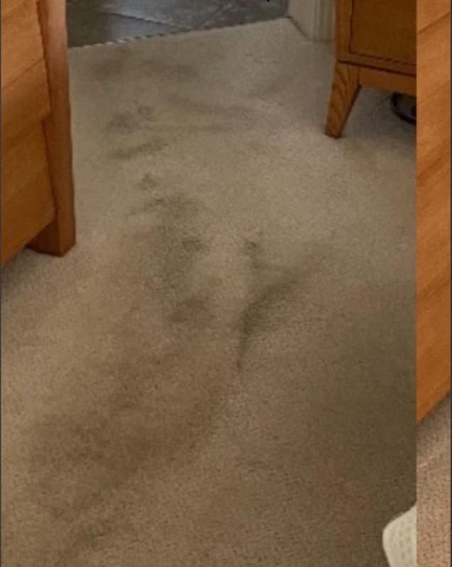 Beige carpet with a dark stain between wooden furniture in a room