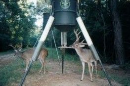 Two deer are standing next to a deer feeder in the woods.