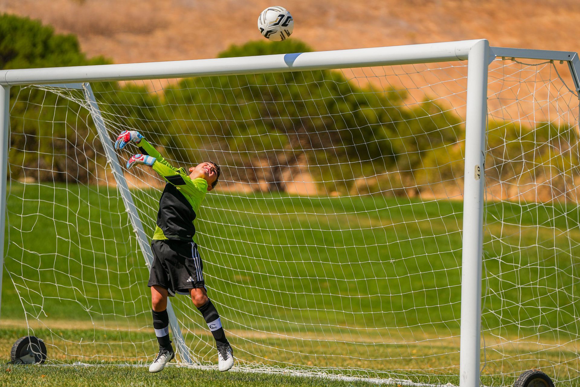 Soccer goalie jumps to catch ball near goal, on a sunny green field.