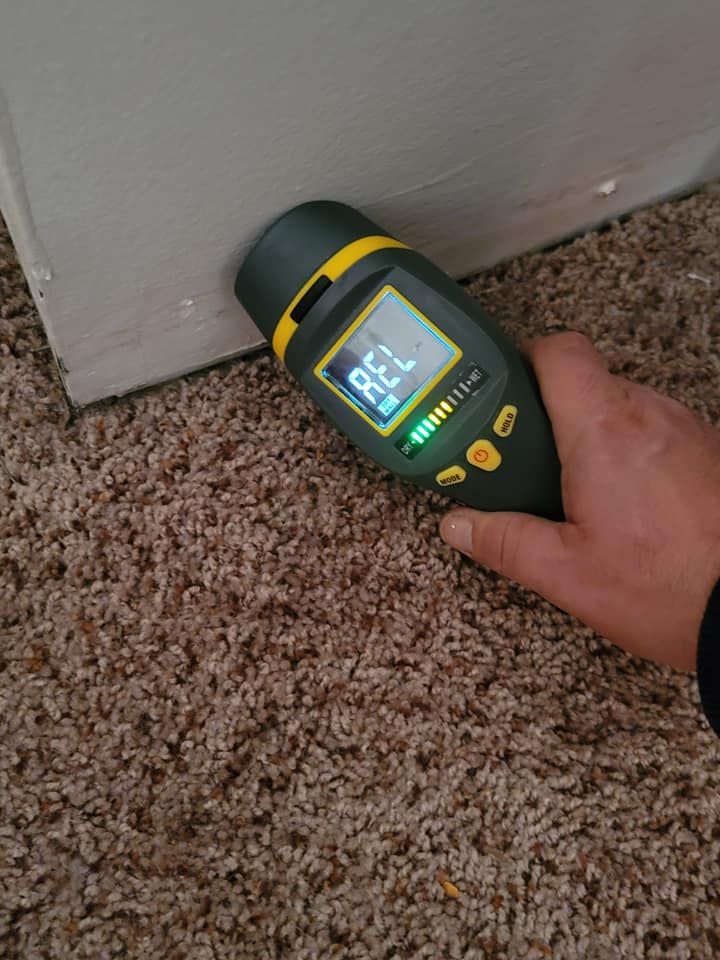 A person is using a moisture meter on a carpeted floor.