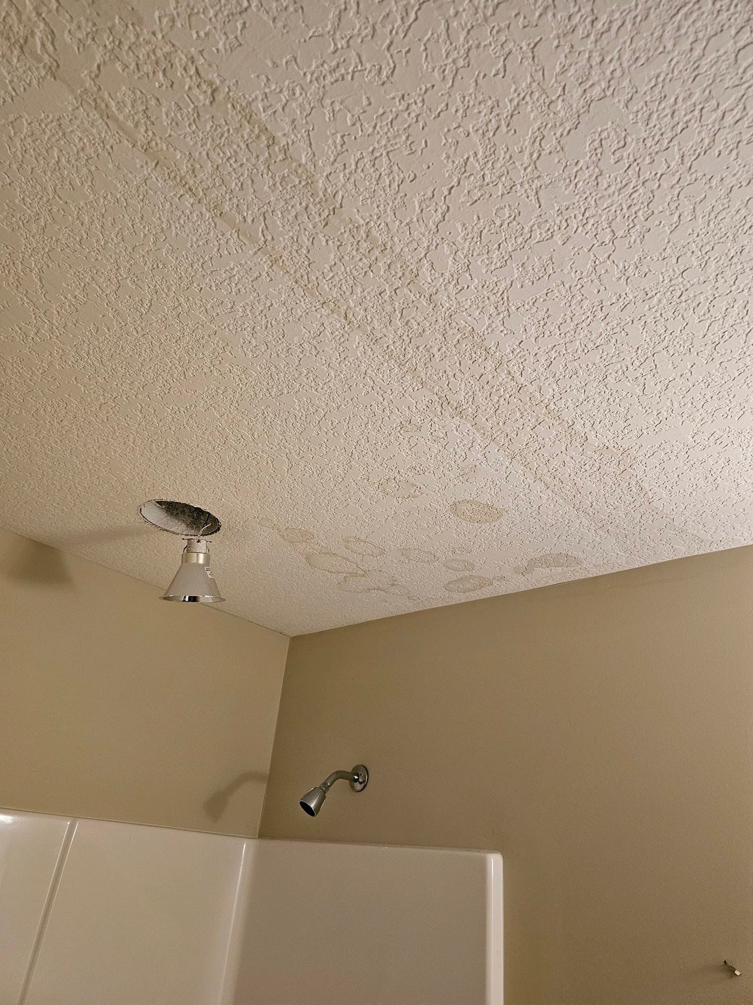 A bathroom with a shower and a ceiling fan.