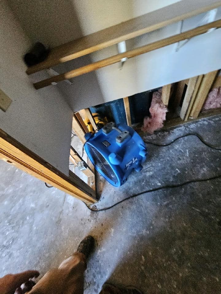 A person is standing next to a blue fan in a room.