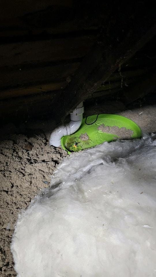 A green object is laying on top of a pile of insulation in an attic.