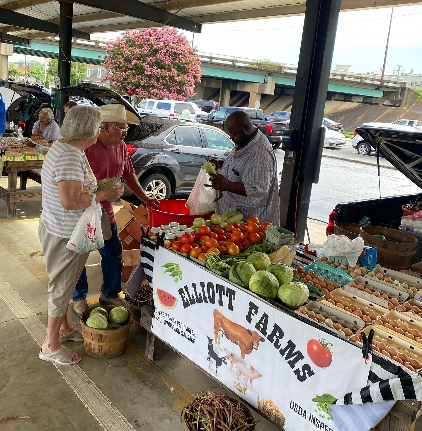 Enjoy the Fresh Flavors of Summer at the County/ Decatur Farmers