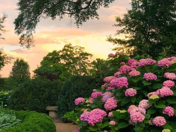 Home [www.visitdecatural.org]