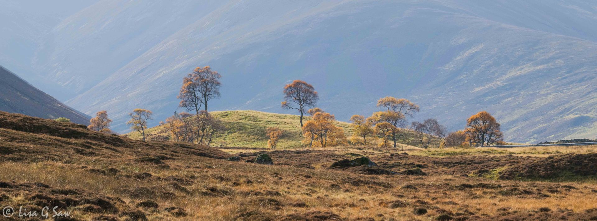 Autumn colours in the Highlands