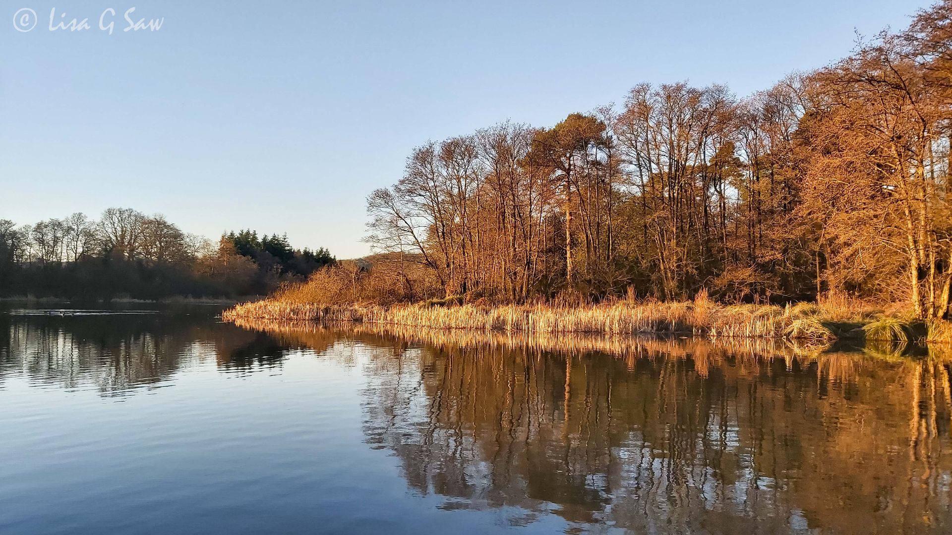 Burton Mill Pond at dawn