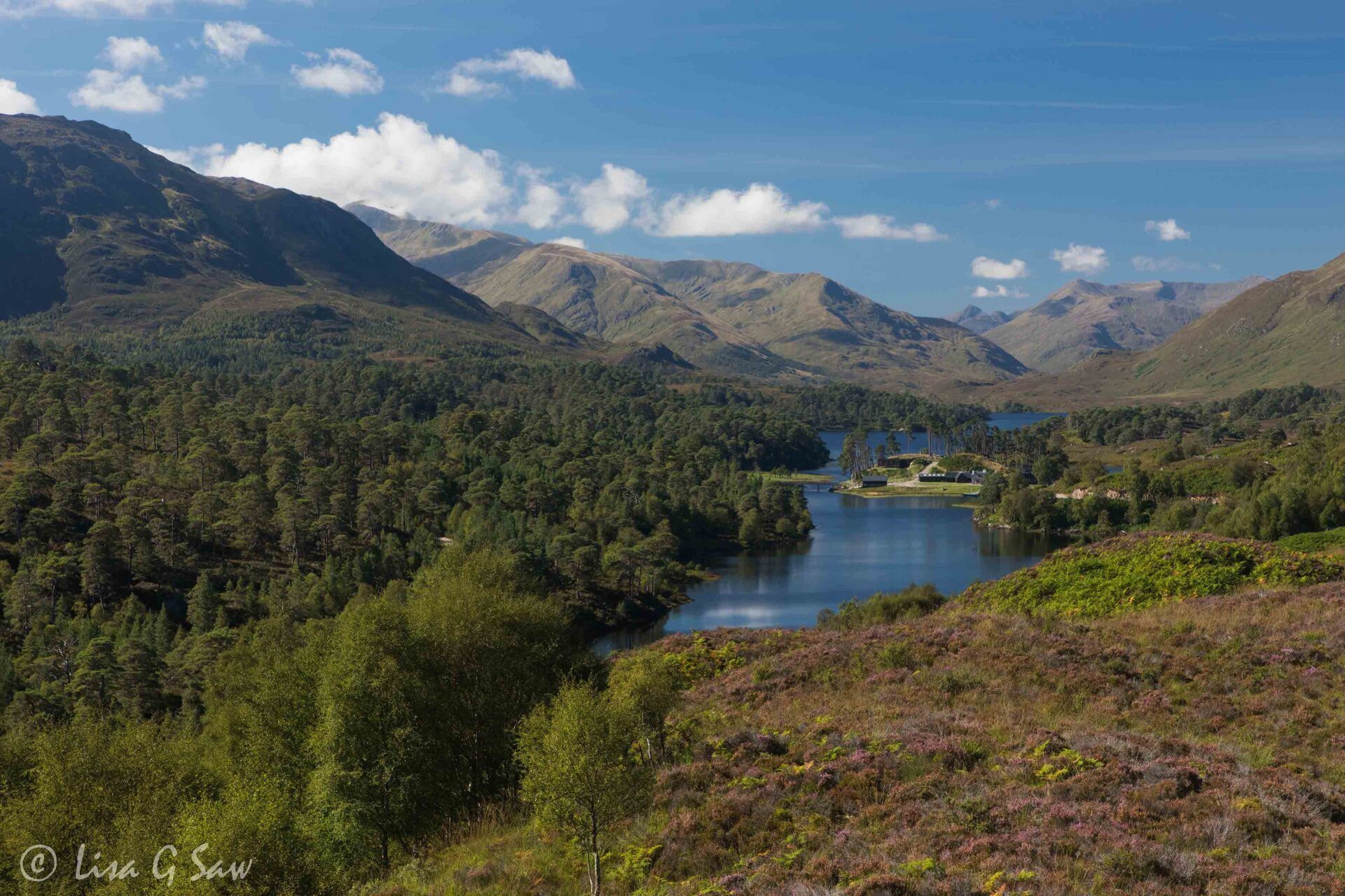 View of Glen Affric