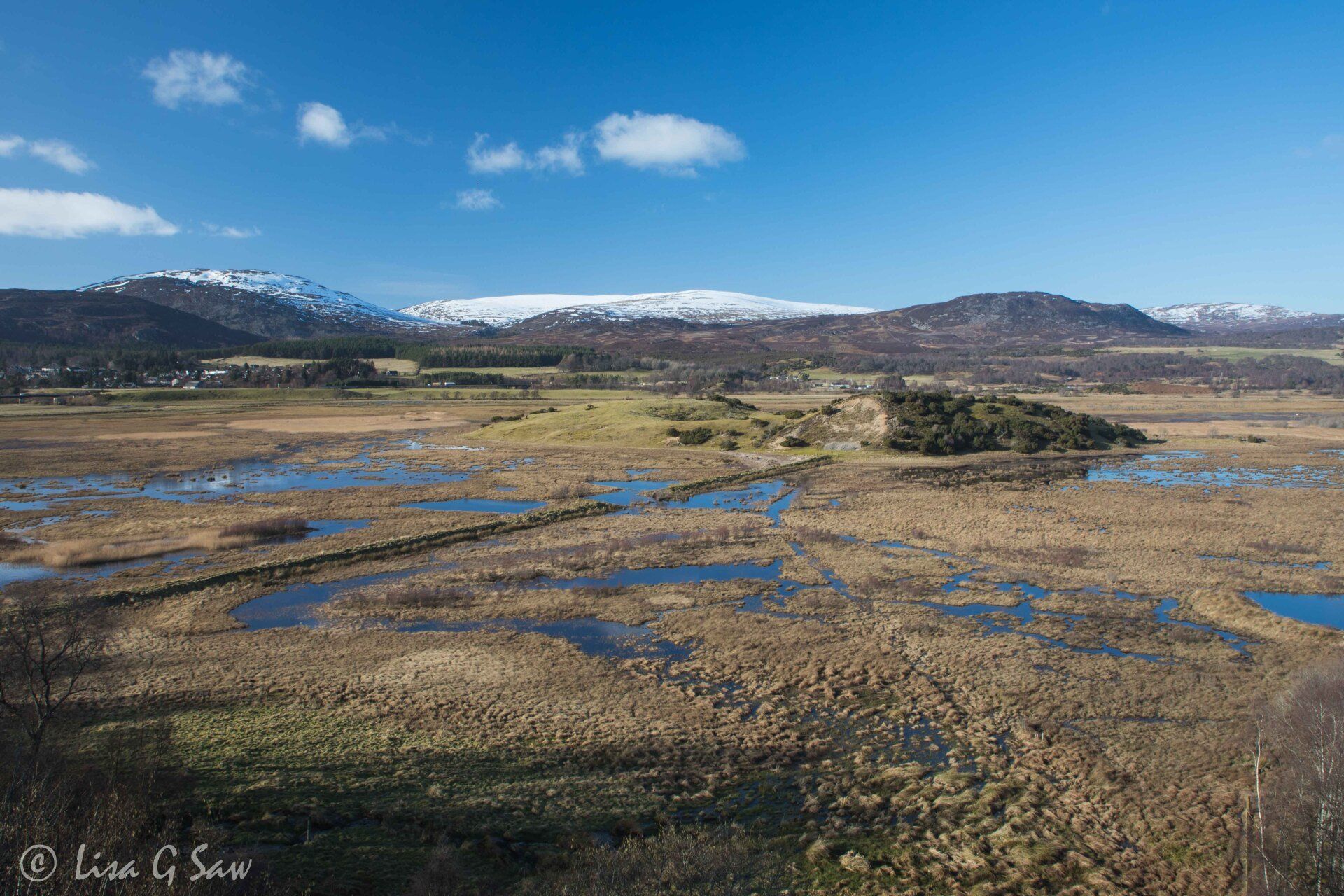 RSPB Insh Marshes