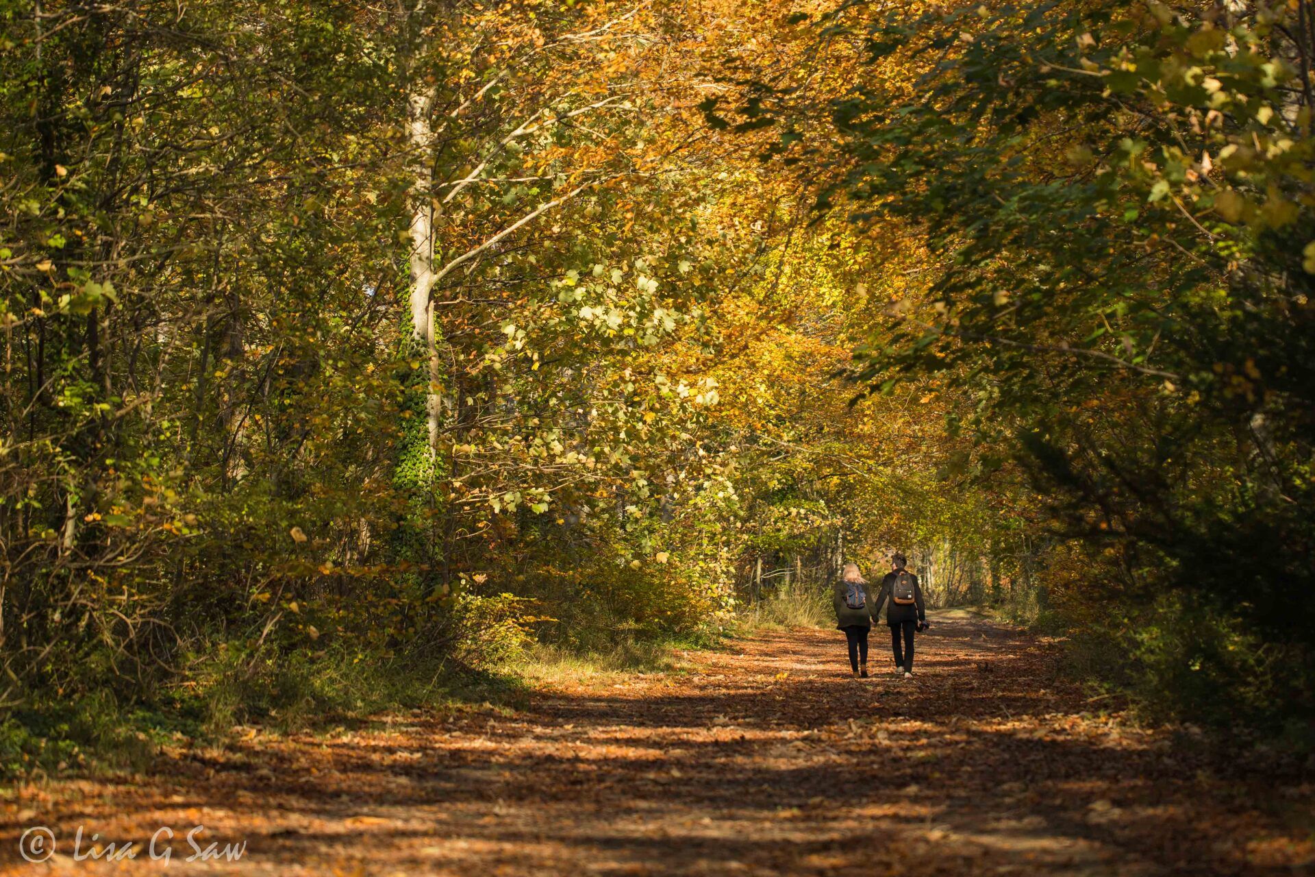 Couple holding hands walking on path in autumn