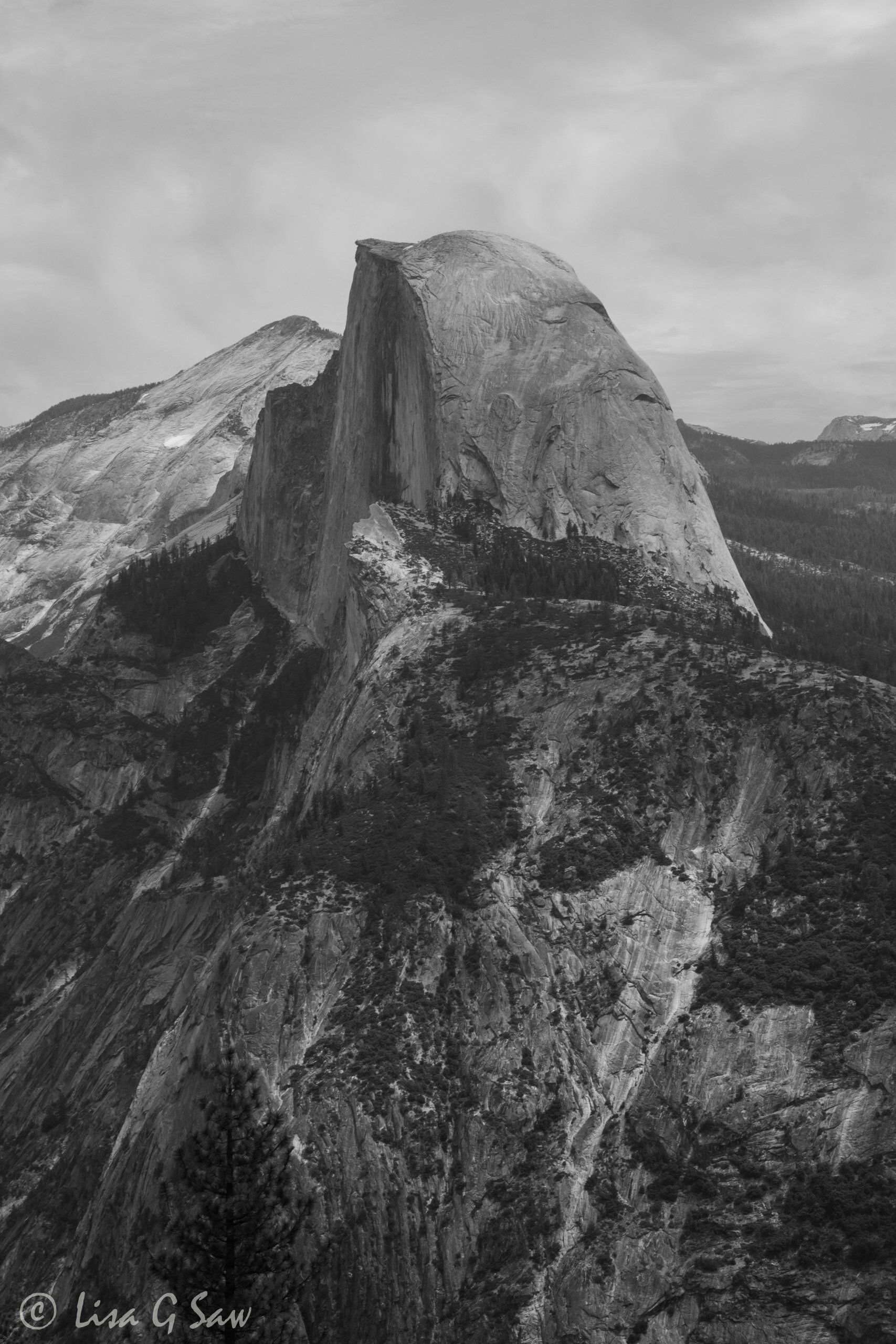 Half Dome (black and white)