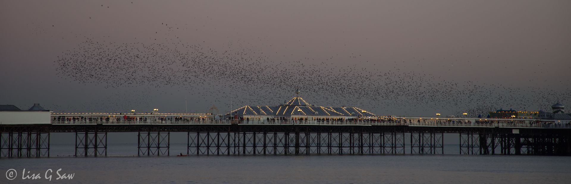 The moon and a mass of Starlings flying across blue sky
