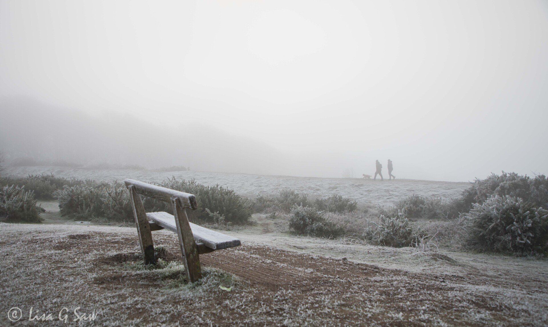 Empty bench and two people walking dog on Cissbury Ring
