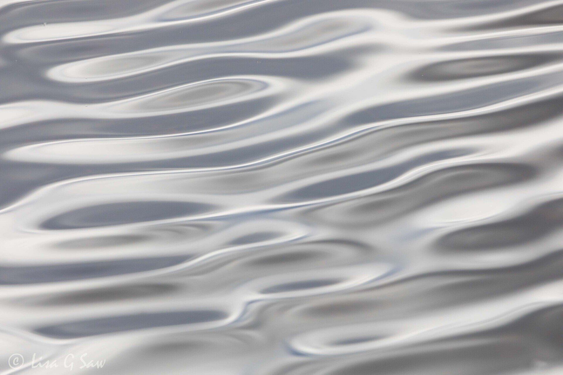 Ripples in the water