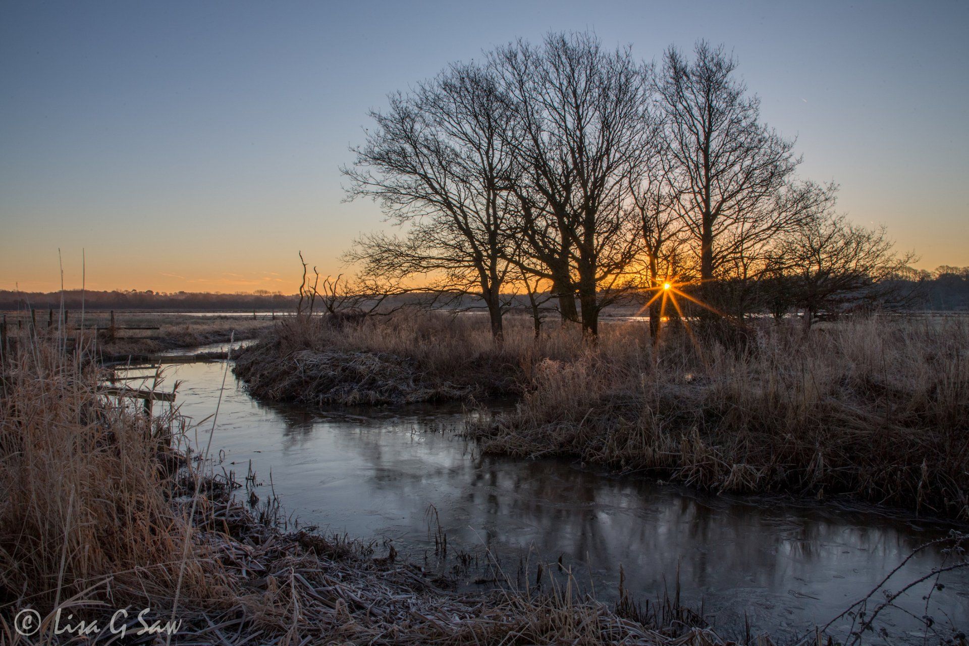 Sunburst on frosty morning, Pulborough Brooks