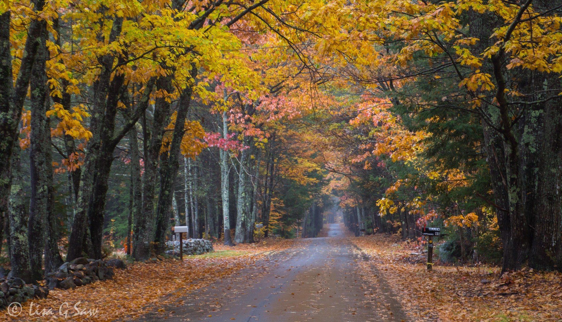 Empty American country road in autumn