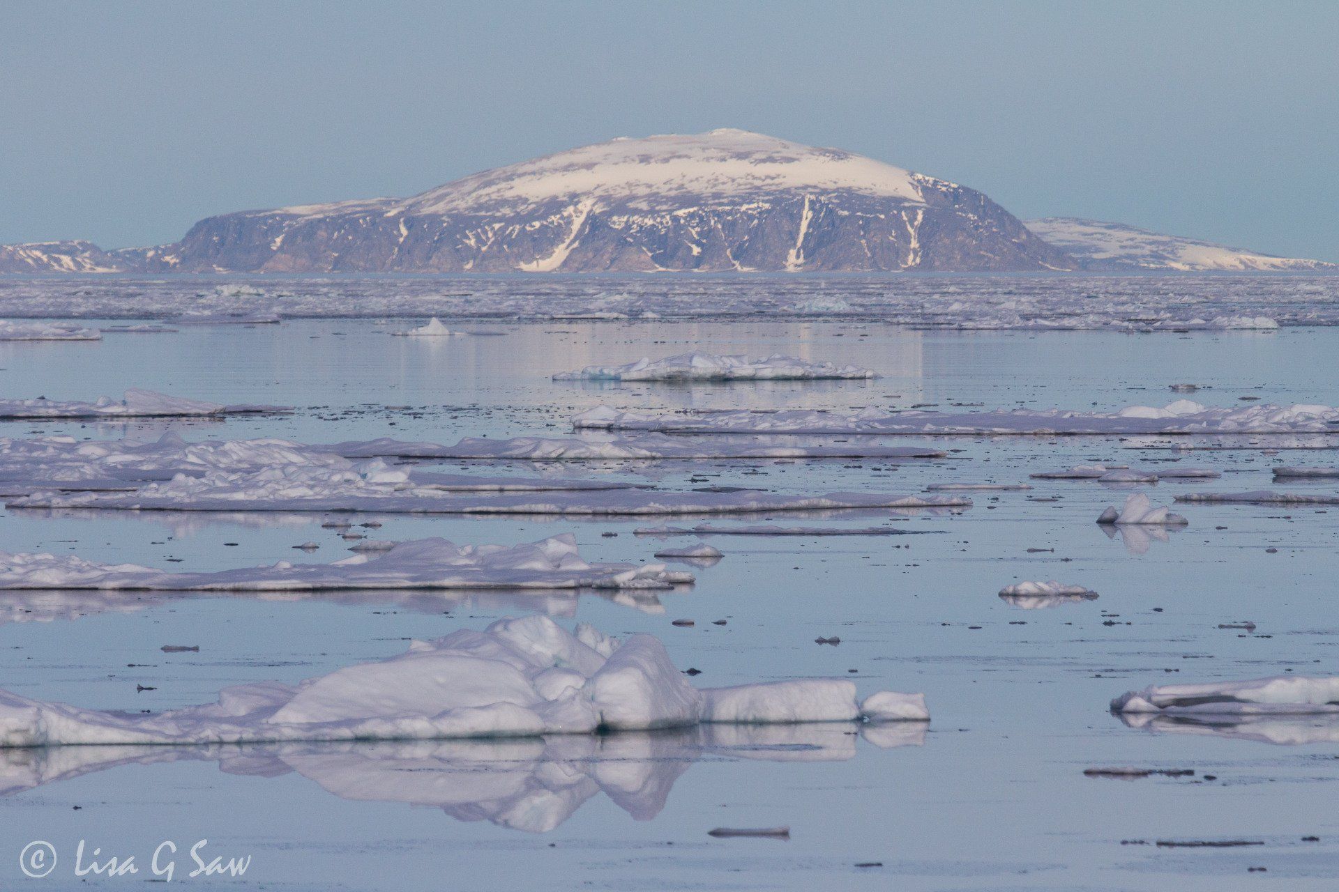 Island and Arctic sea ice in still water in evening light