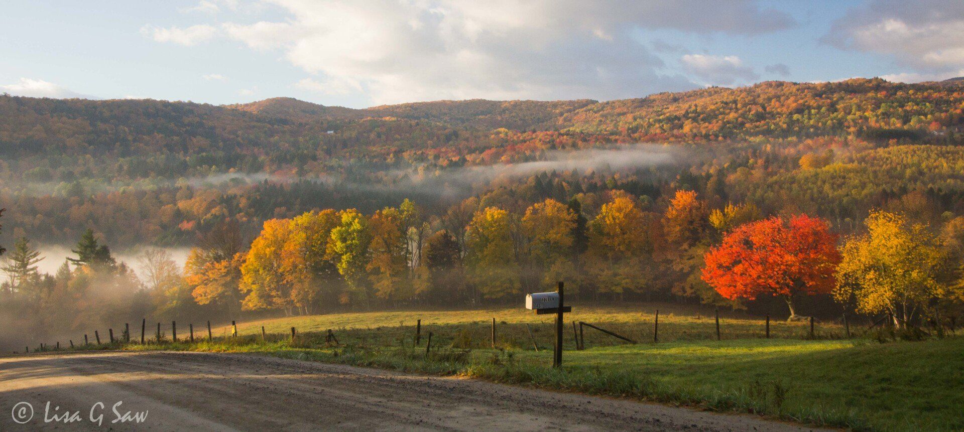 Morning mist hovering over the trees near Waitsfield