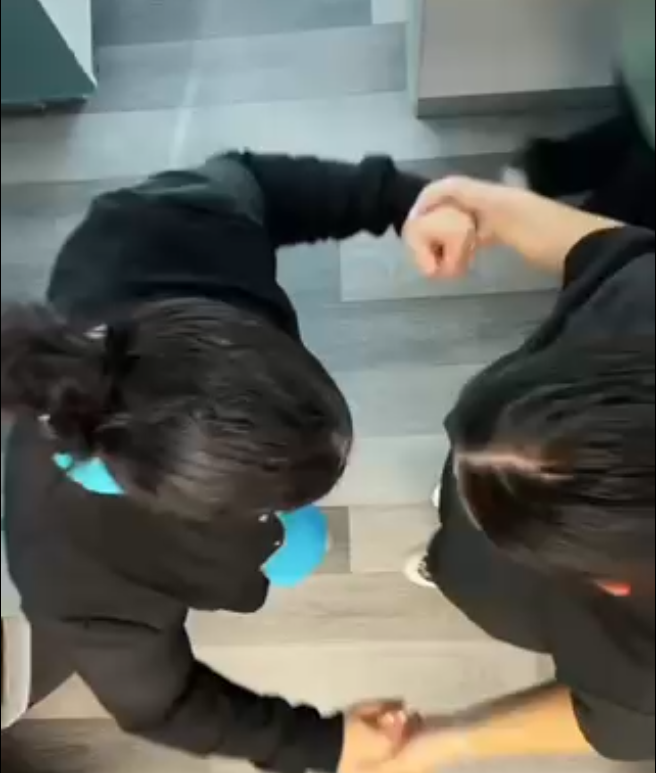 birds eye dancing tiktok