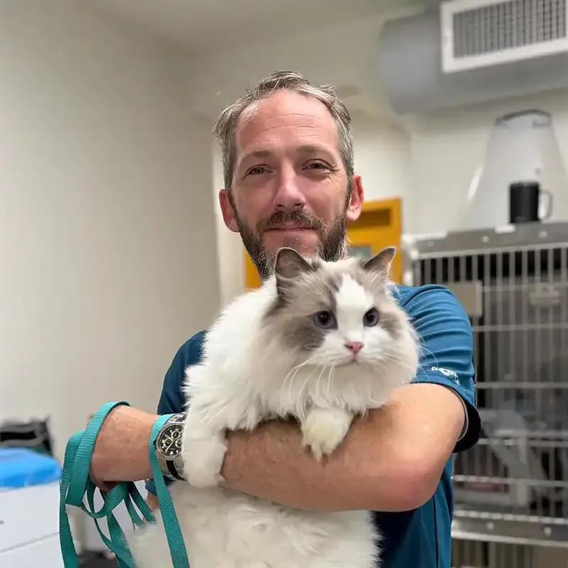 A canine patient