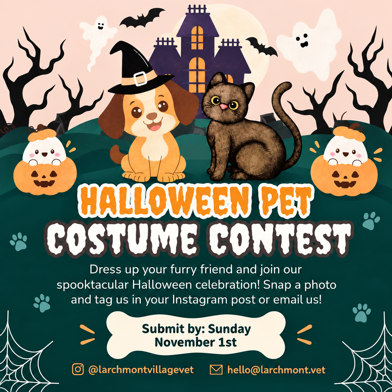 Halloween Pet Costume Contest