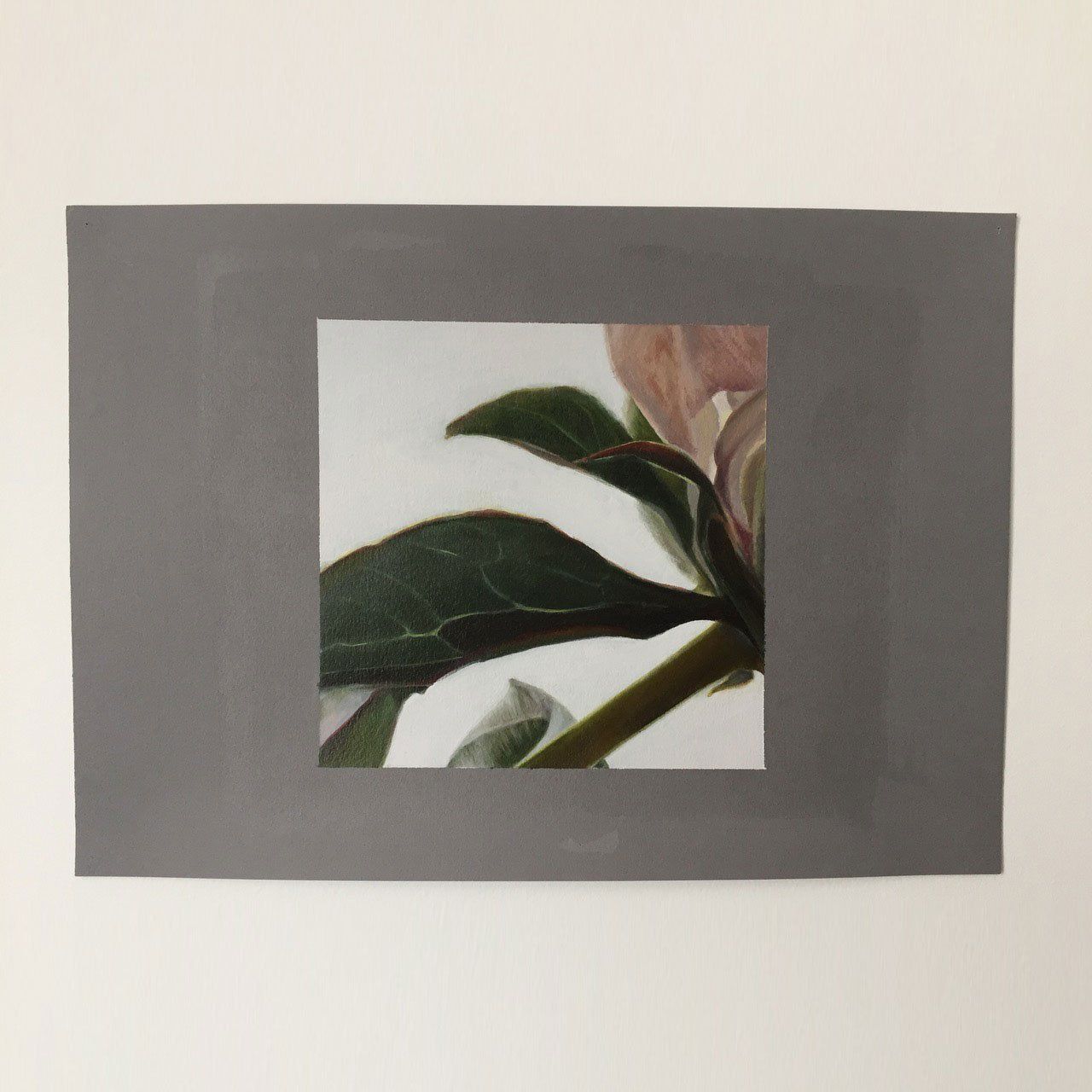 Peony XII, 2021, Oil on canvas , painting by Sarah Wood