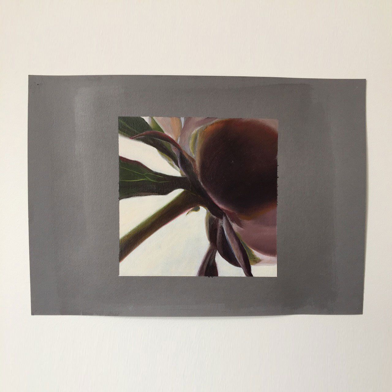 Peony XV, 2021, Oil on canvas , painting by Sarah Wood