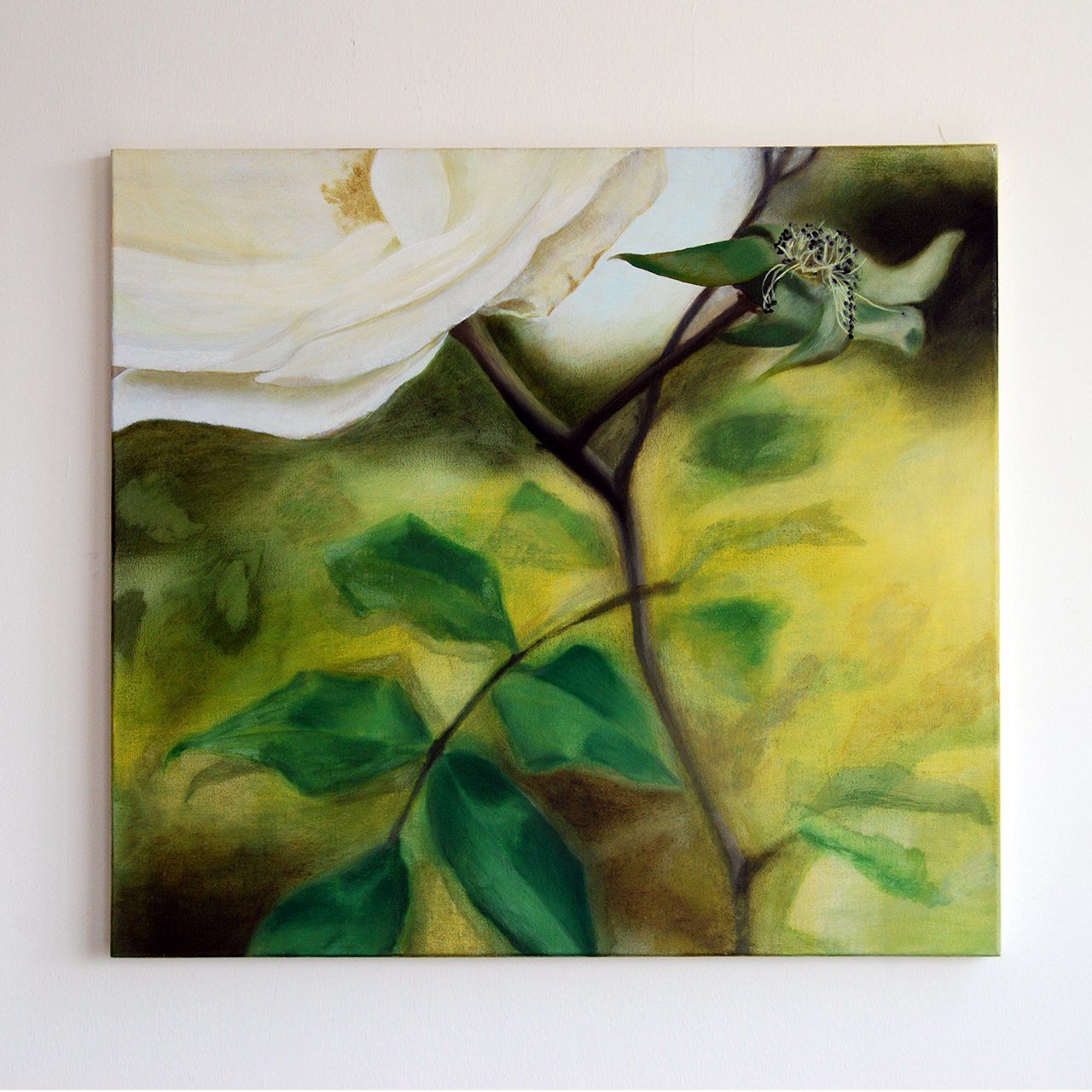 Title, white roses
