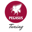 Logo van Pegasus Tuning: