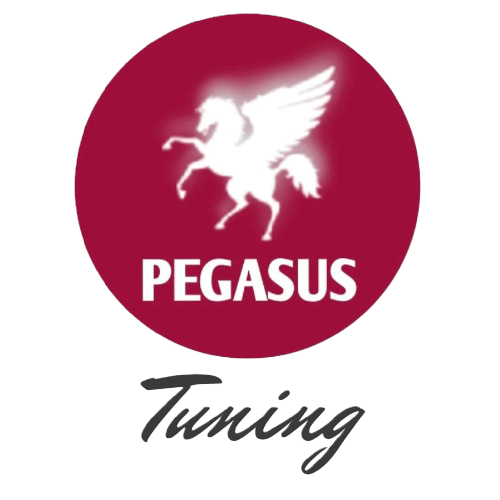 Logo van Pegasus Tuning: 
