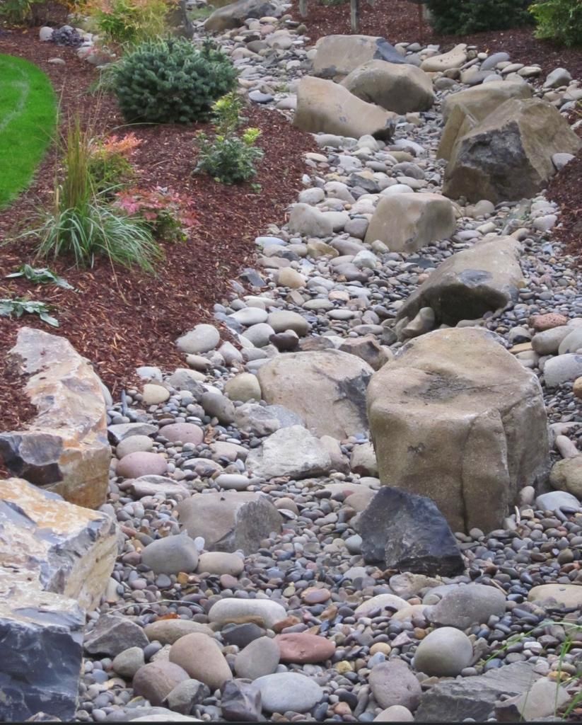 A stream of rocks runs through a lush green garden