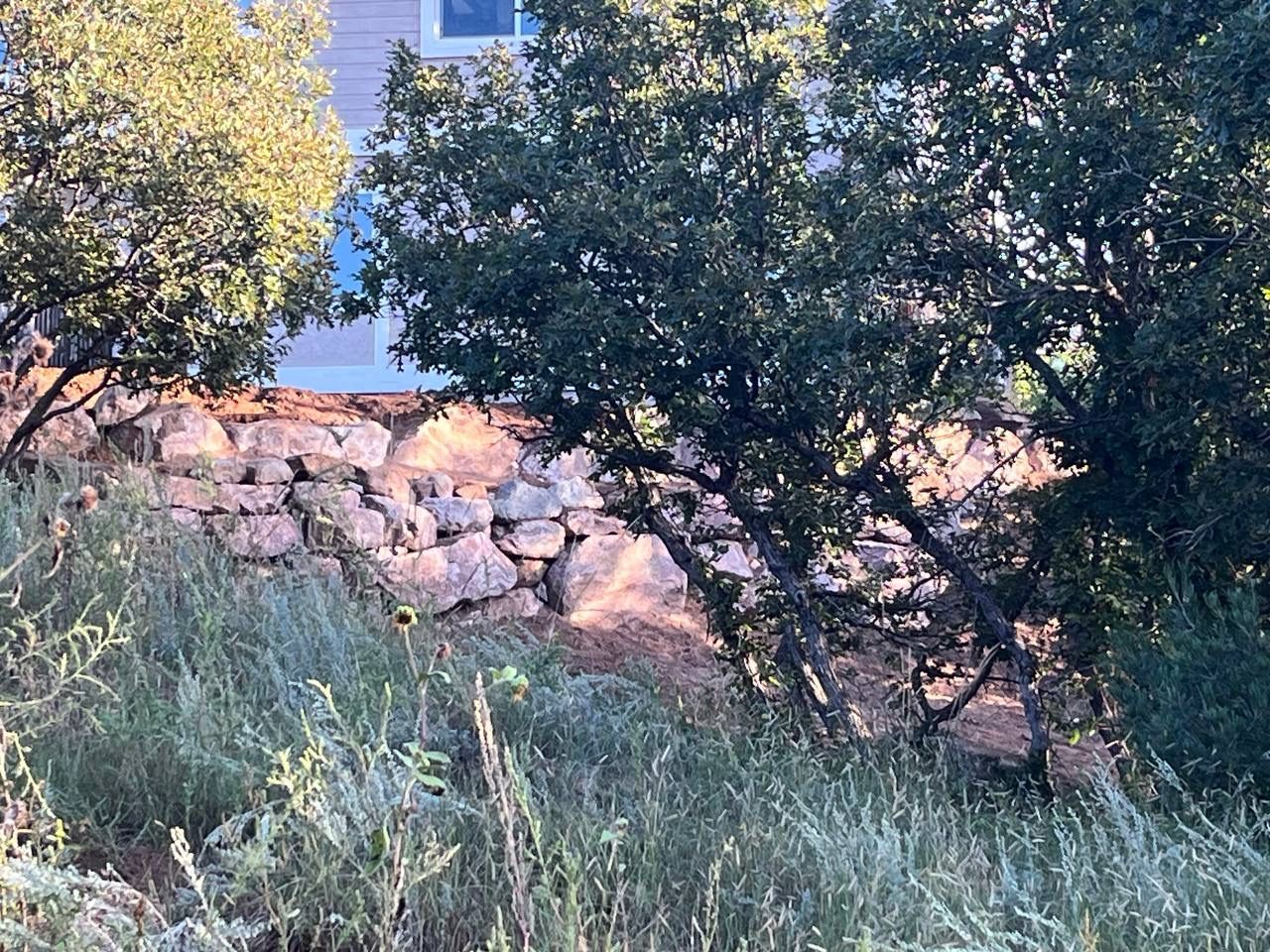 Rocky stone wall behind tall grass and leafy trees in a sunny hillside yard