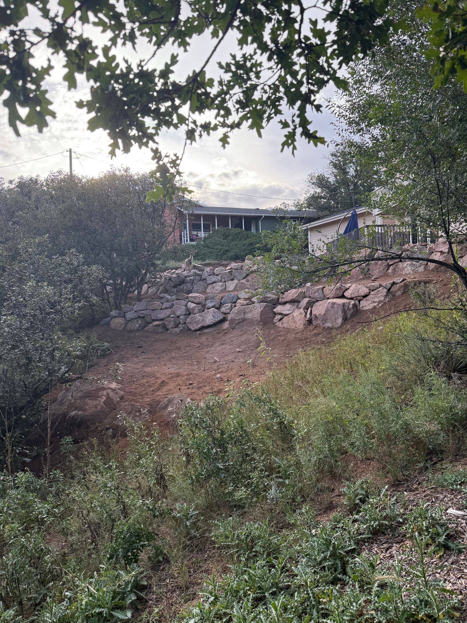 Rocky dirt slope beneath trees, with a stone wall and a building visible in the background.