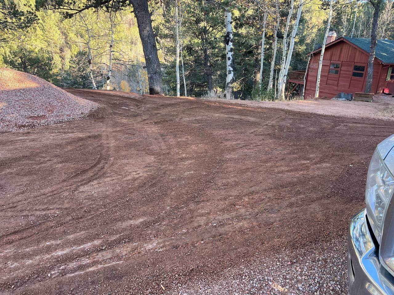 Gravel driveway beside birch trees and a red shed, with a car bumper at right.