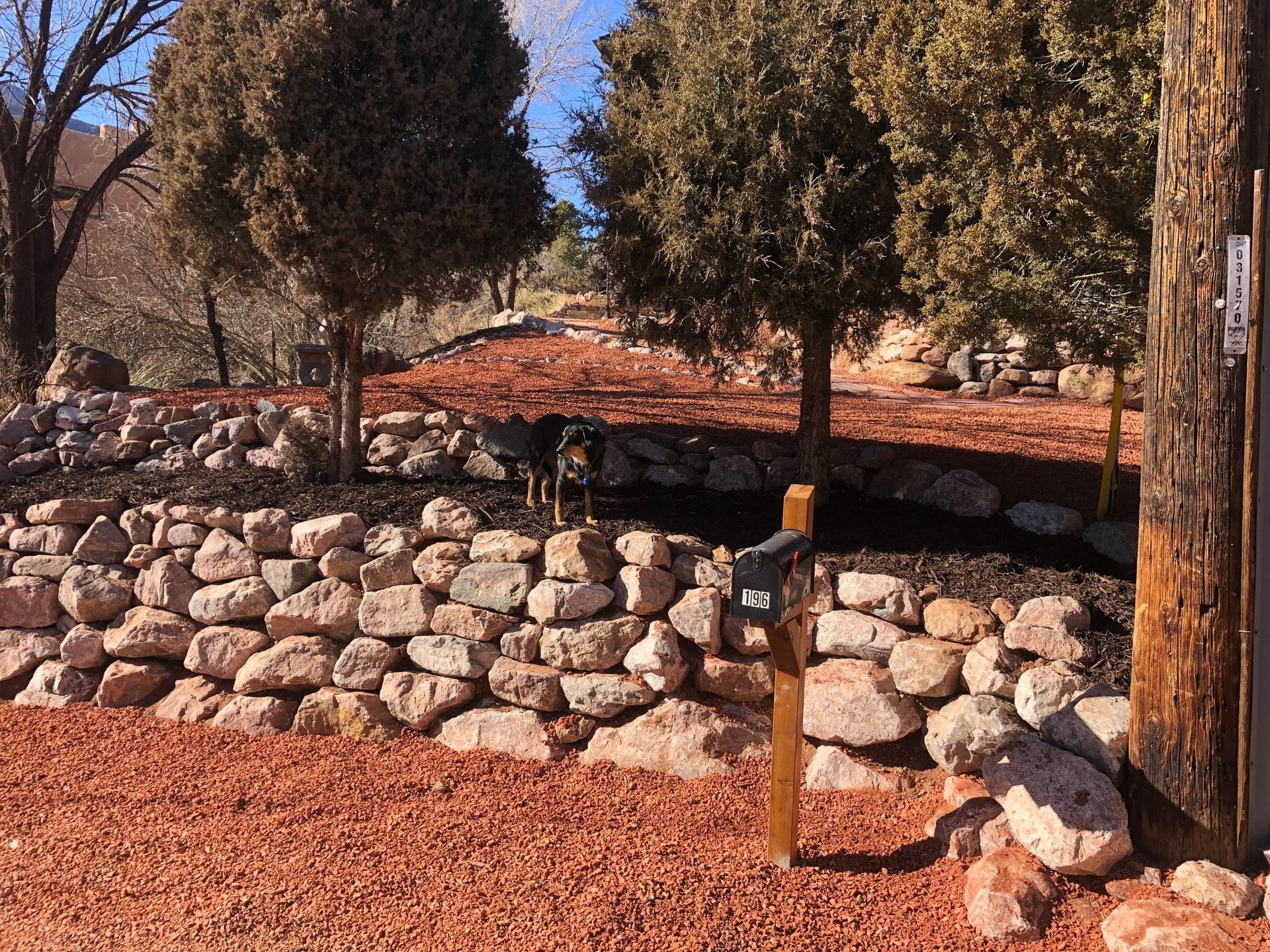 A dog standing in front of a stone wall