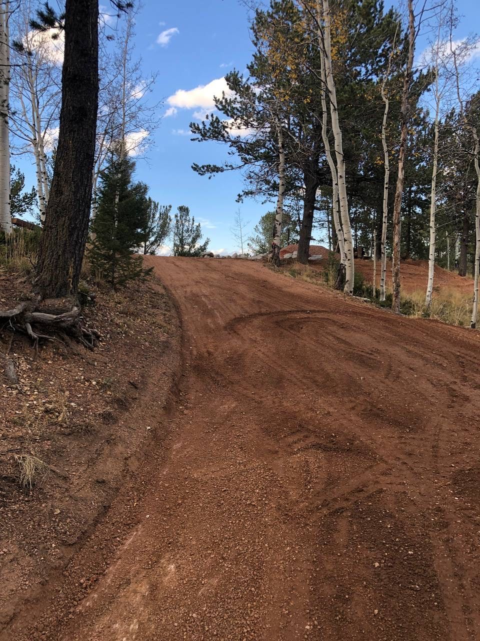Dirt road curving uphill through a wooded area under a blue sky.