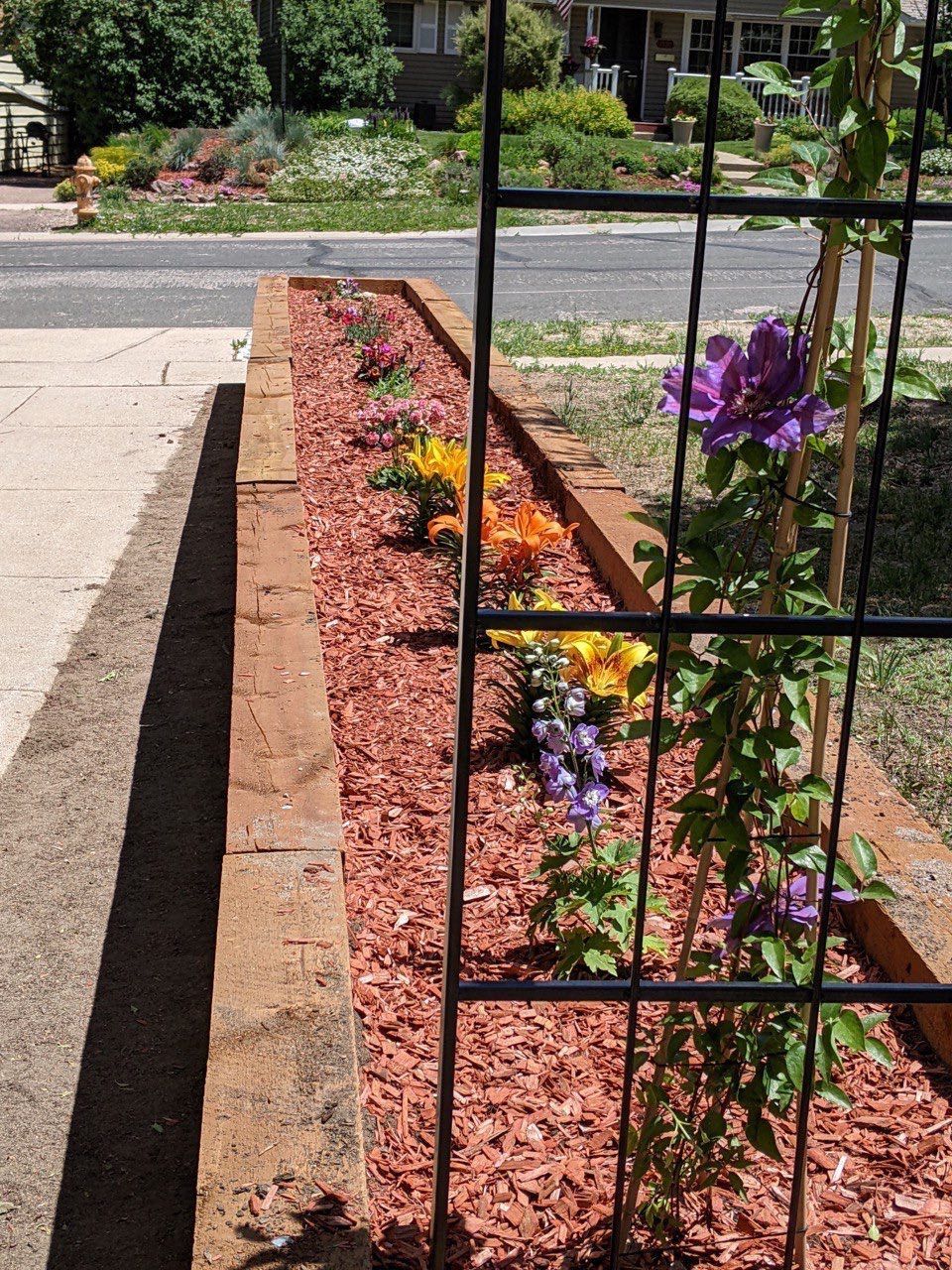 A garden with purple and yellow flowers and red mulch