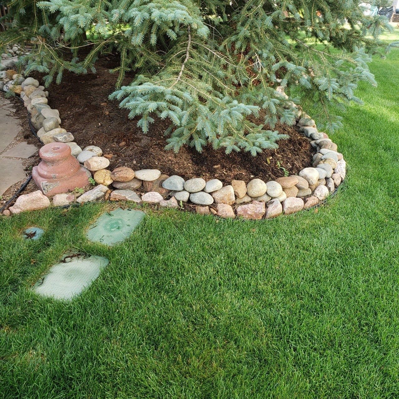 A lush green lawn with a stone border around a tree