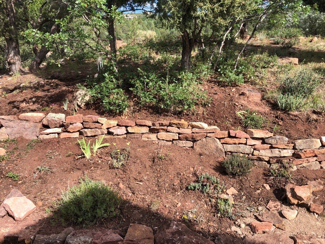 A stone wall is surrounded by trees and shrubs in a garden.