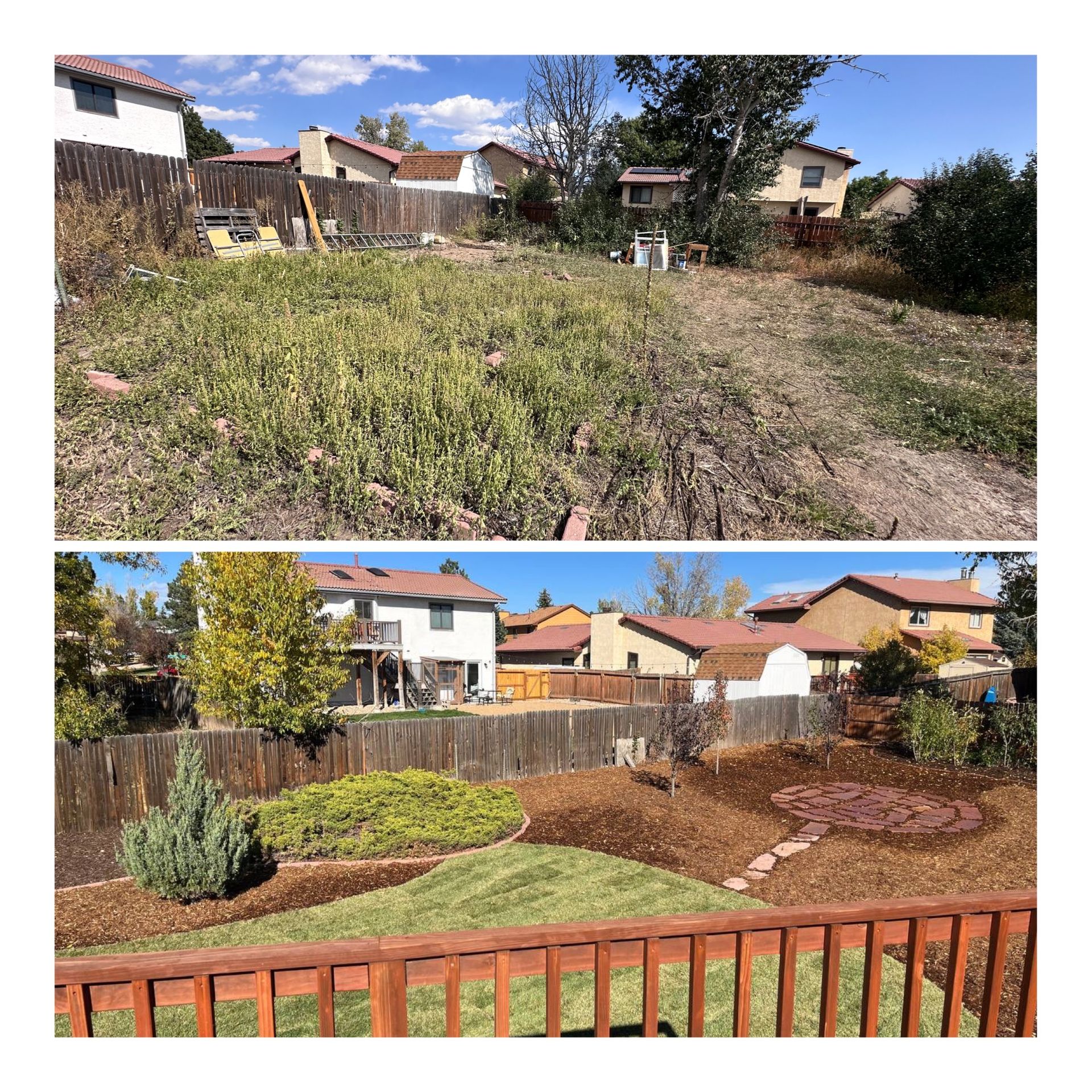 Two backyard views: overgrown weeds, then a neatly landscaped garden with lawn, shrubs, and fence.
