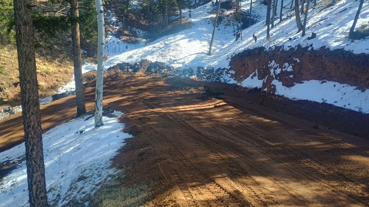 Snowy dirt road winding through a pine forest with sunlight and red rock embankment