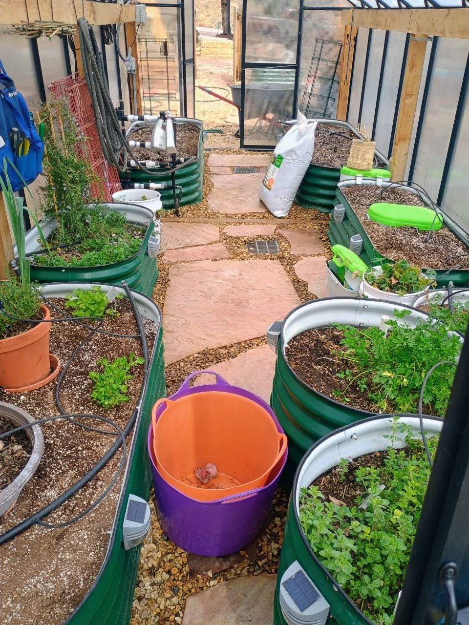 Narrow greenhouse aisle with raised green planters, potted plants, and a purple bucket on a stone path