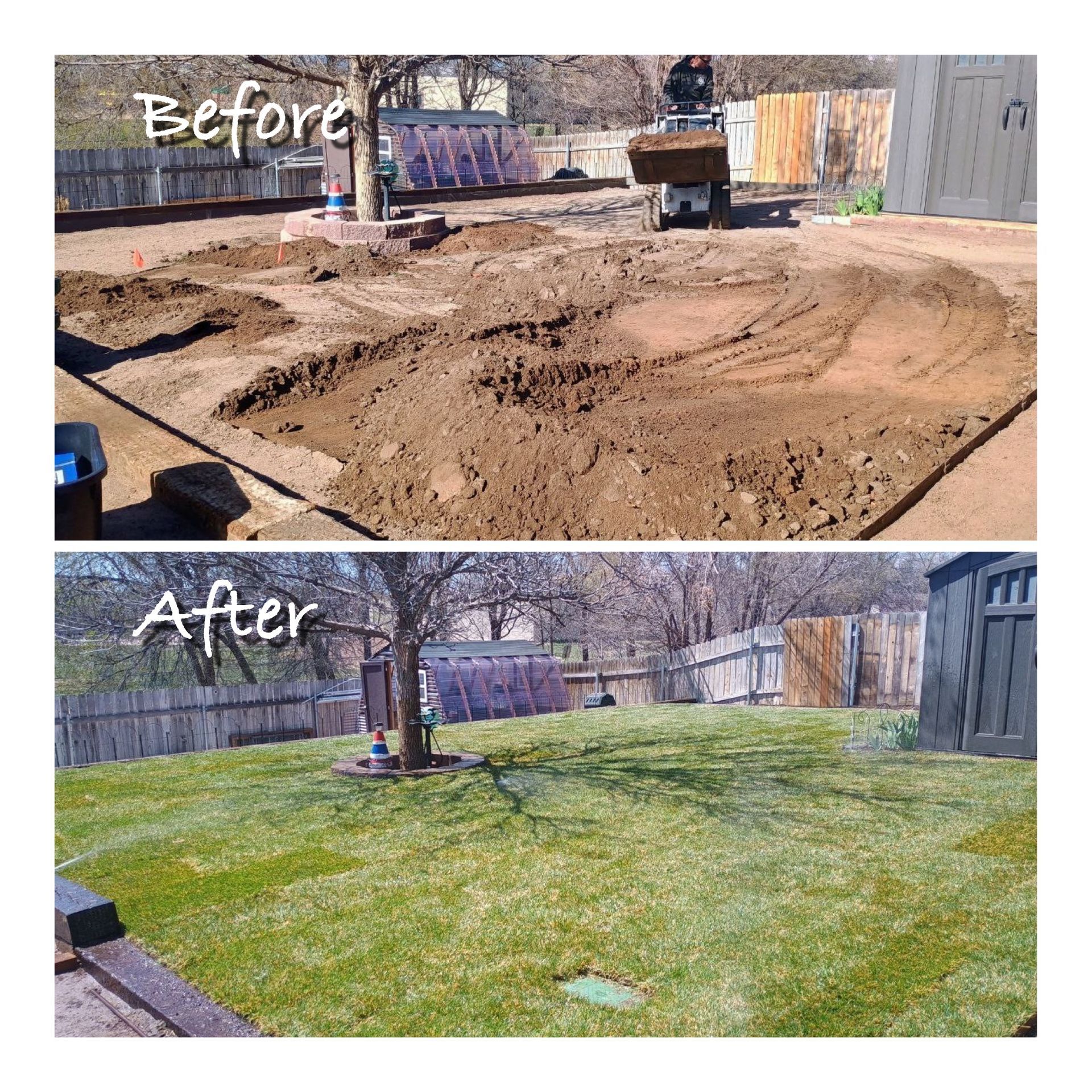 Backyard lawn transformation: before dirt patch, after green grass with tree and fence