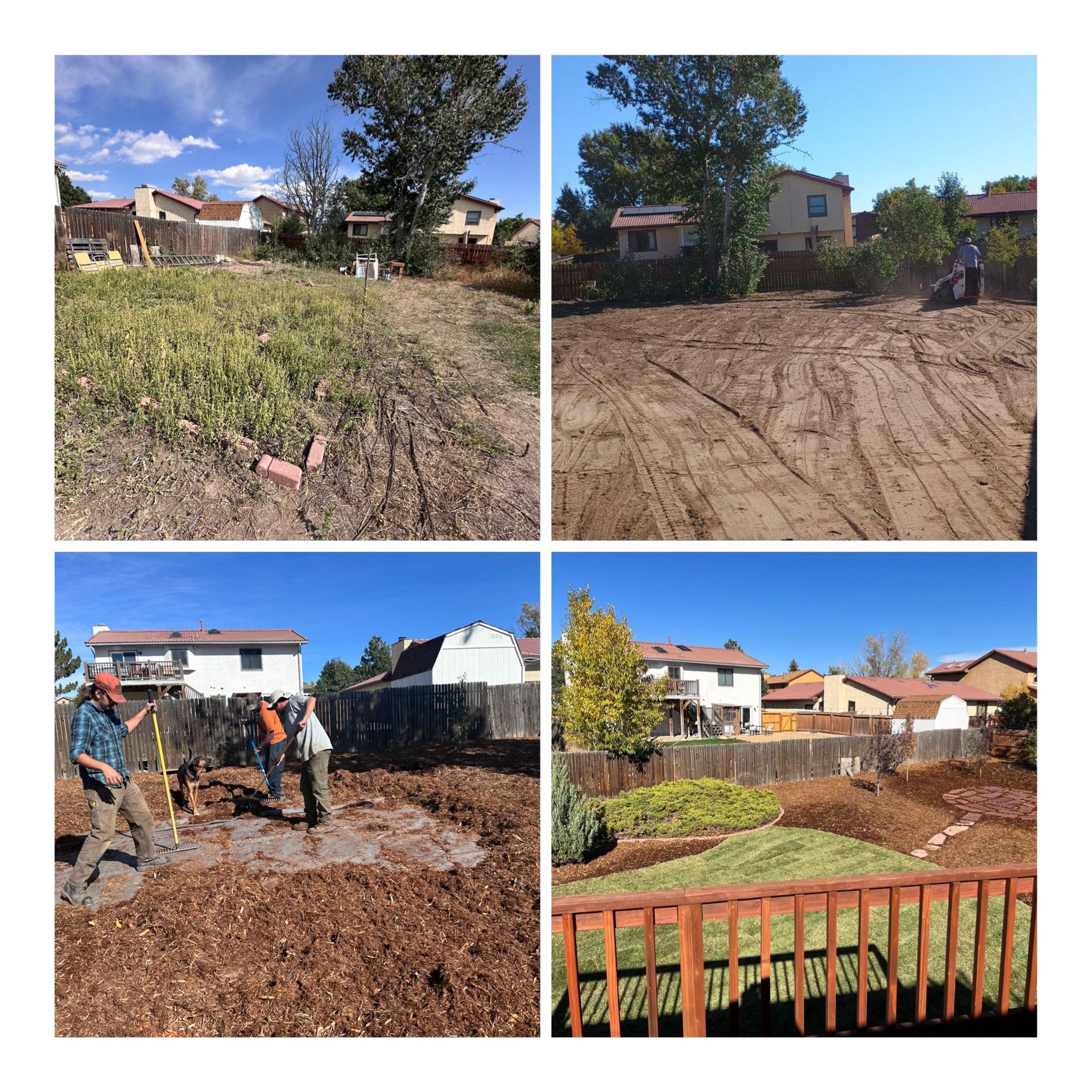 Four-panel collage of a backyard landscaping project with cleared dirt, workers, and a finished lawn section